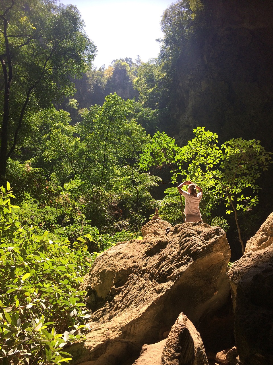 名莲最新，探索与发现的旅程