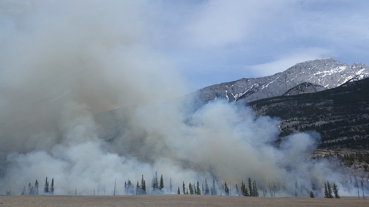 唐山最新失火事件，灾难反思与应对之道