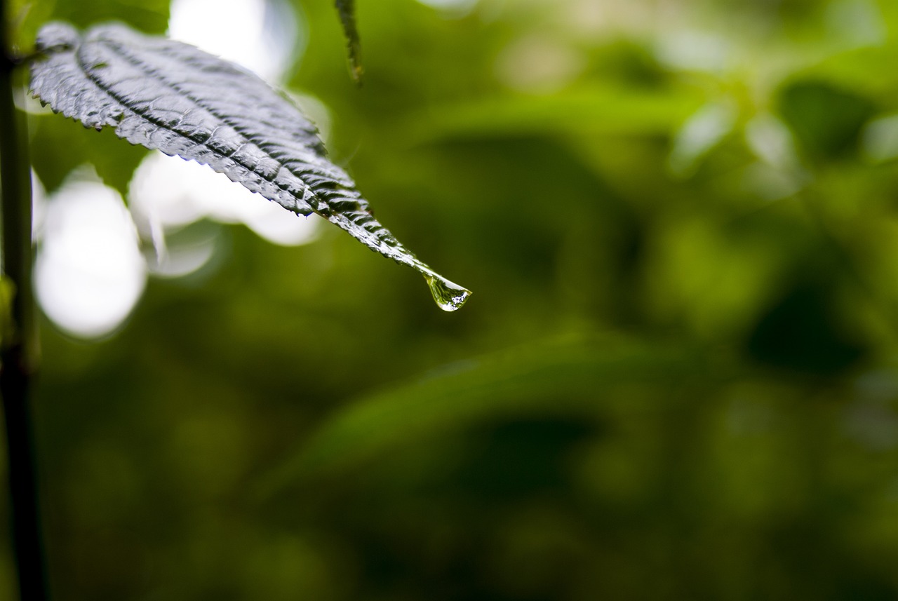 最新病情动态及防治策略概览