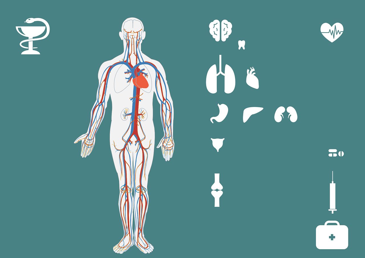 最新血热研究揭秘，成因、症状及有效治疗方法探讨